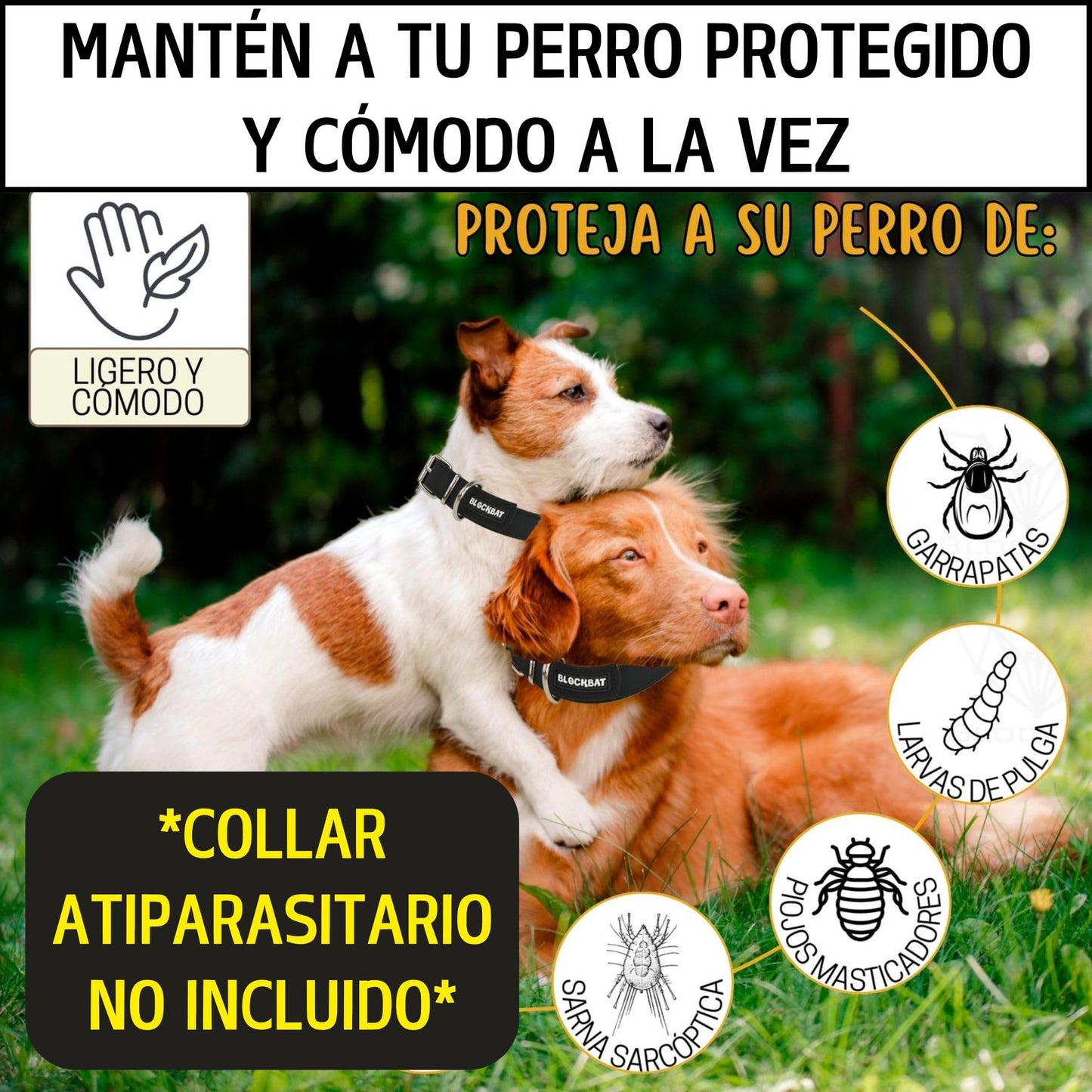 Collar Perro 2 en 1, Alojamiento y Proteccion del Collar Antiparasitario - Resistente, Ajustable y Cómodo - Ideal para Perros Grandes, Medianos y Pequeños - Collares para Perros (Negro S)