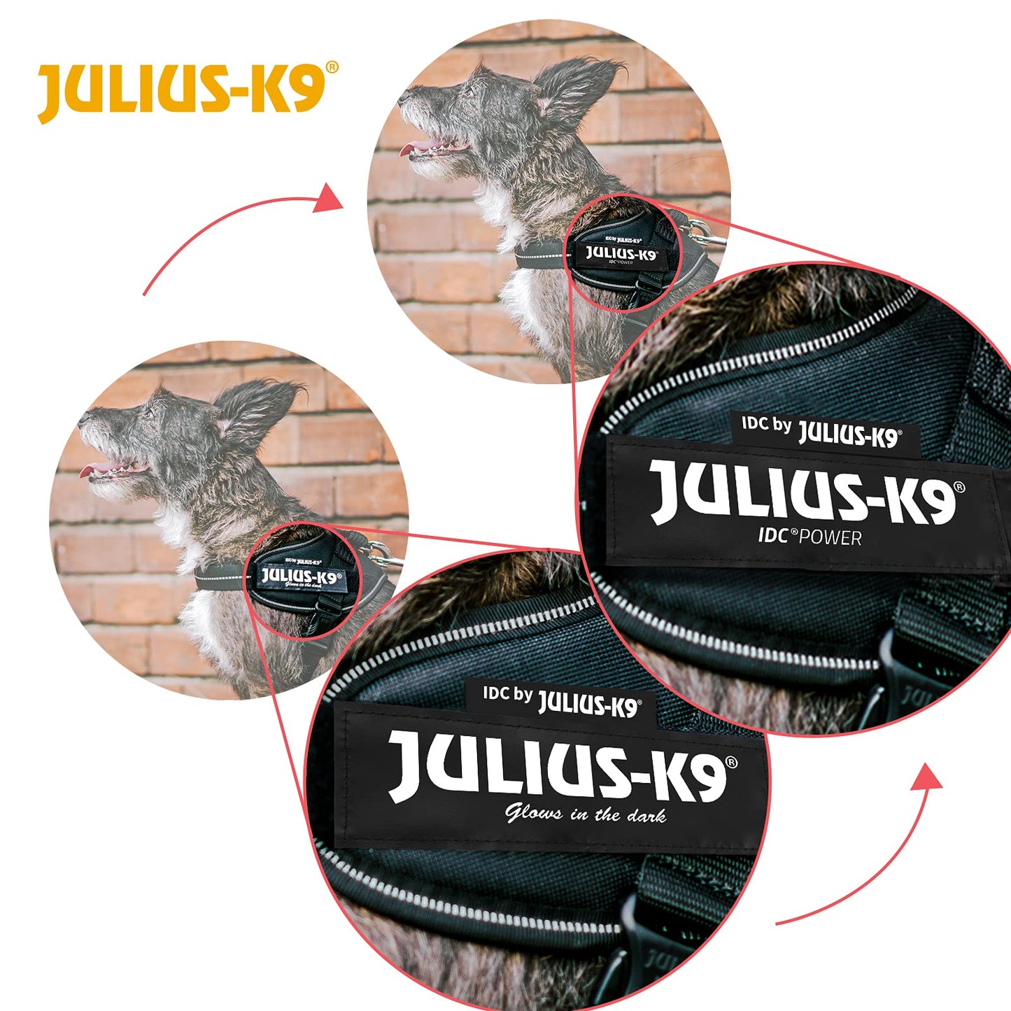 Arnés Julius-K9, IDC Power, Tamaño: XS / Mini-Mini, Camuflaje